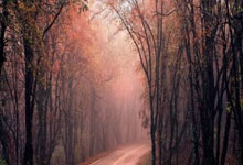 欧陆娱乐官网:因“旱泳”走红“陆游器”教师备战市赛.