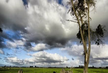 欧陆娱乐官网:将战新疆!林葳:季后赛一直是我的梦想,不会给自己太大压力.