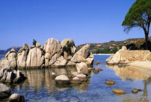 内维尔:塔科夫斯基那下绝对是红牌,裁判的决定令人震惊.